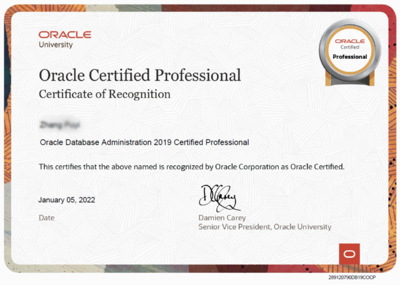 ORACLE OCA+OCP認(rèn)證培訓(xùn) 開(kāi)啟專業(yè)數(shù)據(jù)庫(kù)管理職業(yè)生涯
